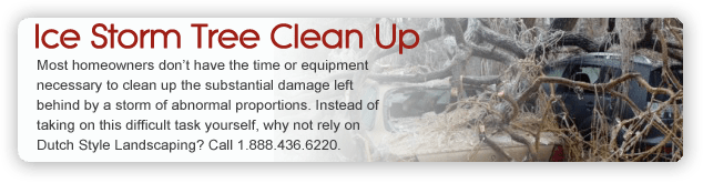 ice storm clean up