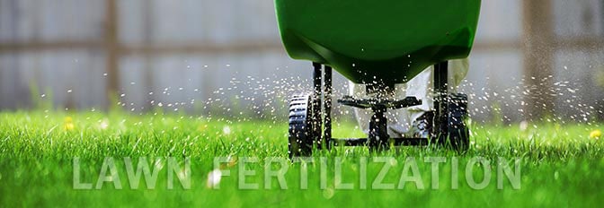 lawn-fertilization
