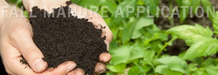 aged manure