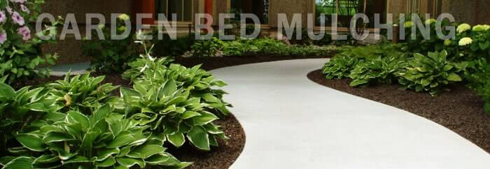 garden bed mulching