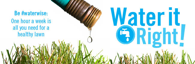 water restriction and watering bans