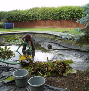 opening your pond in spring