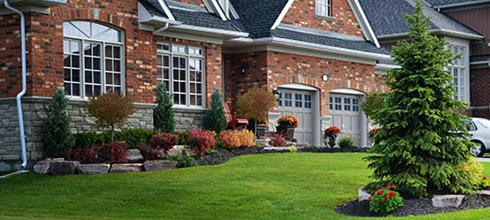 landscape design