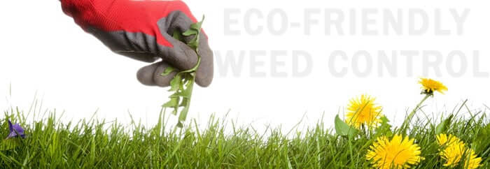 eco-friendly weed control