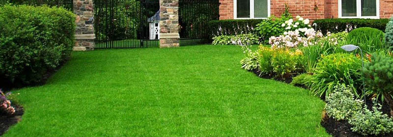 Professional Lawn Care Services | Pro-Active Approach to a ...