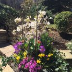 spring planters, pots and urns