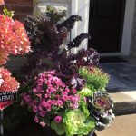 fall planters, pots and urns