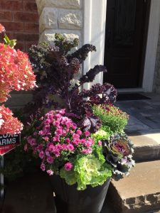 fall planters, pots and urns