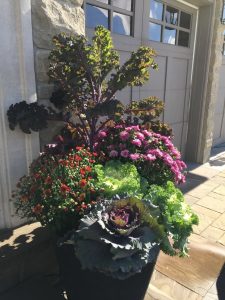 Seasonal Fall Planters