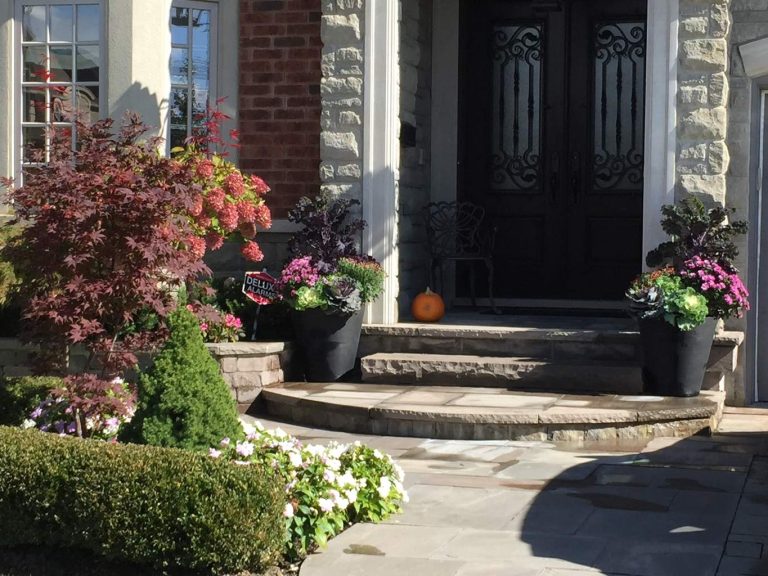 Seasonal planters for fall