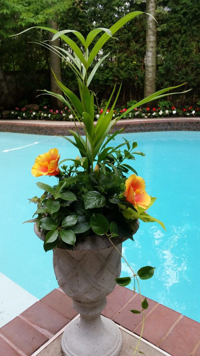 seasonal planter for summer