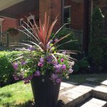 planter for summer