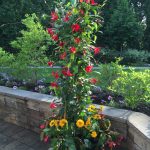 seasonal planters add colour