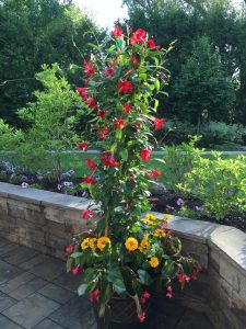 seasonal planters add colour